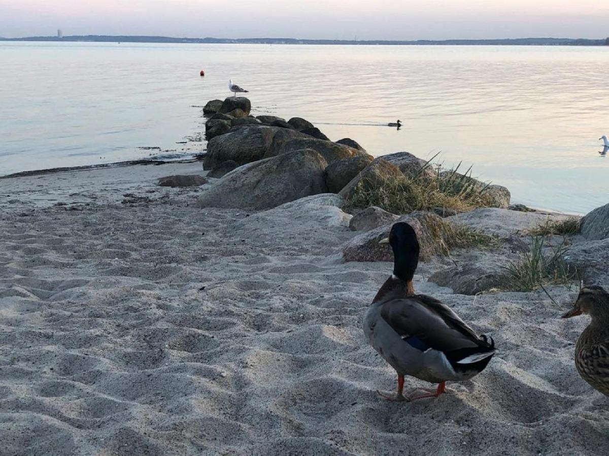 Ostseecamp Luebecker Bucht Casa Del Mar Mit Kostenfreier Saunanutzung Scharbeutz Dış mekan fotoğraf